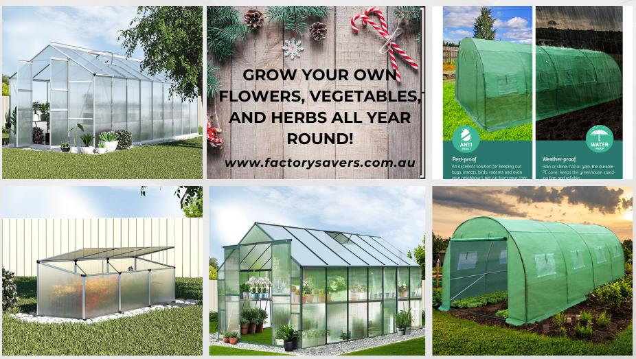 The Best Greenhouses for Australian Climates: Cultivating a Thriving Oasis in Your Backyard