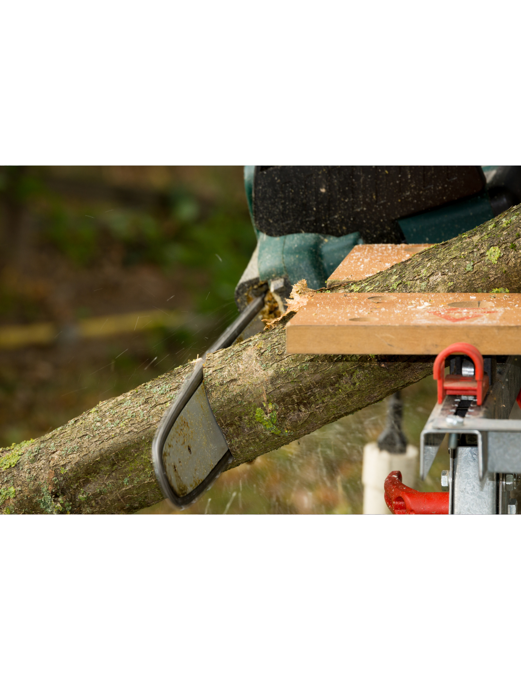 Choosing the Right Chainsaw for Your Needs