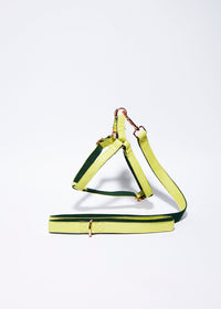 Thumbnail for 'Lime' Step In Harness Set-0