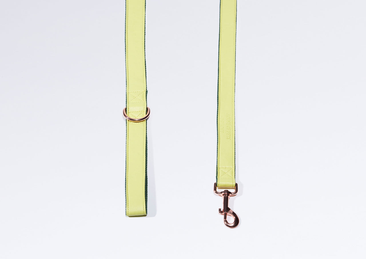 'Lime' Step In Harness Set-4