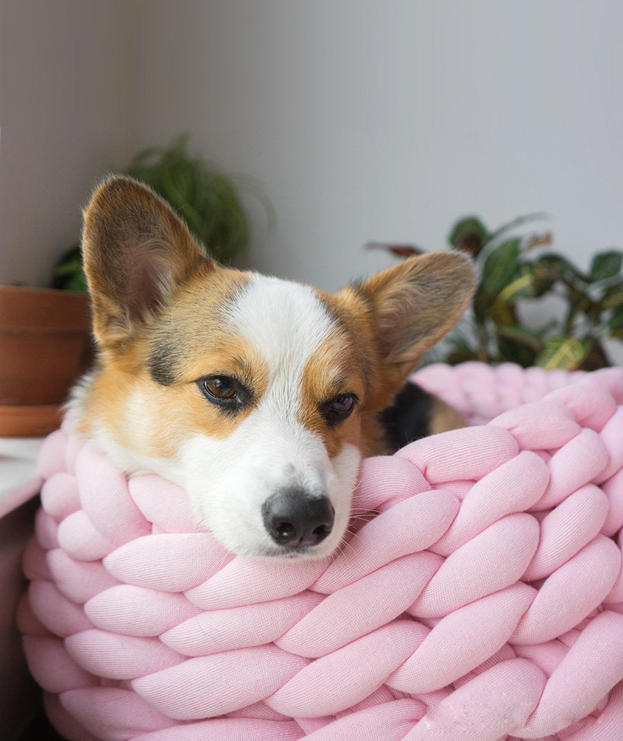 Chunky Cotton Braided Knit Pet Bed in Pink-1