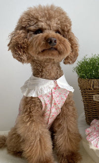Thumbnail for Floral Bohemian Dog Dress-4