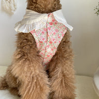 Thumbnail for Floral Bohemian Dog Dress-1