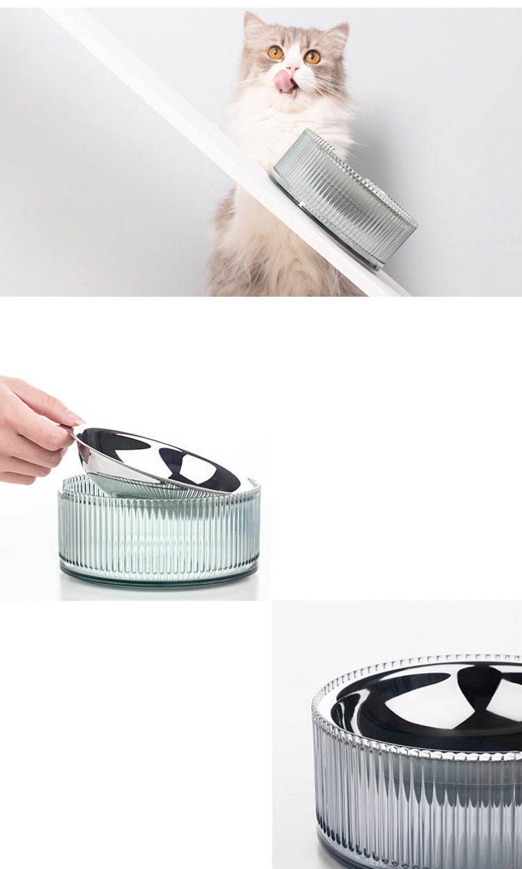 Contemporary Stainless Steel Pet Bowl in Green-4