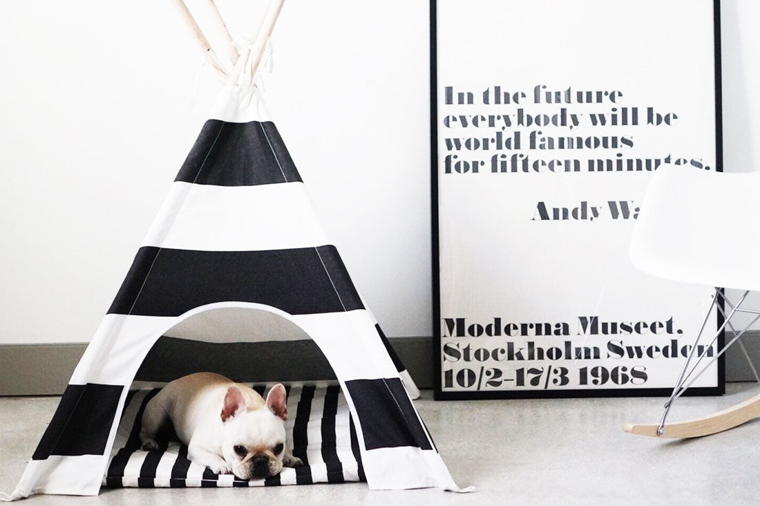 Black & White Stripe Teepee With Mat-1