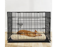 Thumbnail for Foldable Pet Crate (Various Sizes)-6