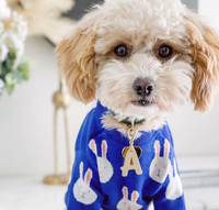 Thumbnail for Rabbit Print Dog Sweater - Blue-3