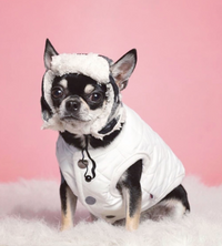 Thumbnail for Padded Luxe Dog Vest - White-1