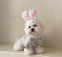 Thumbnail for Rabbit Print Dog Sweater - Grey-2