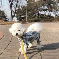 Thumbnail for Night in Dog PJs in Black & Green-1
