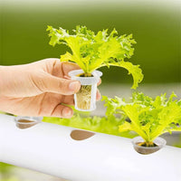 Thumbnail for 108 Plant Sites Hydroponic Grow Tool Kit Vegetable Garden Hydroponic Grow System With Wheels
