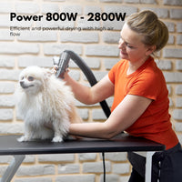 Thumbnail for Floofi Pet Hair Dryer Basic (White) FI-PHD-101-DY