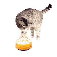 Thumbnail for 300ml Cat Bowl Orange Love - AFP Kitten Pet Food Water Feeding Anti Slip Dish