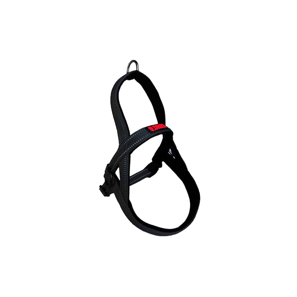 KONG Norwegian Black Harness Small