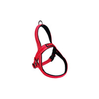 Thumbnail for KONG Norwegian Red Harness Extra Large