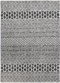 Thumbnail for Amritsar AMRI04 Charcoal & Beige 160x230