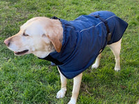Thumbnail for Pet Dog Raincoat Poncho Jacket Windbreaker Waterproof Clothes with Harness Hole-XXL-Black (Single Layer)