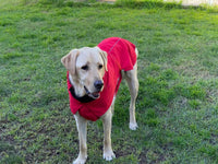 Thumbnail for Pet Dog Raincoat Poncho Jacket Windbreaker Waterproof Clothes with Harness Hole-XXL-Black (Single Layer)