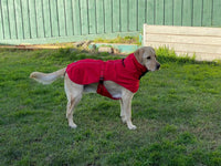 Thumbnail for Pet Dog Raincoat Poncho Jacket Windbreaker Waterproof Clothes with Harness Hole-XXL-Black (Single Layer)