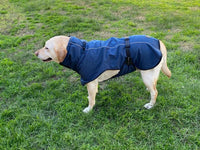 Thumbnail for Pet Dog Raincoat Poncho Jacket Windbreaker Waterproof Clothes with Harness Hole-XXL-Black (Single Layer)