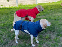 Thumbnail for Pet Dog Raincoat Poncho Jacket Windbreaker Waterproof Clothes with Harness Hole-XXL-Black (Single Layer)
