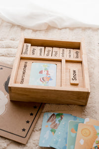Thumbnail for Weather Play Set