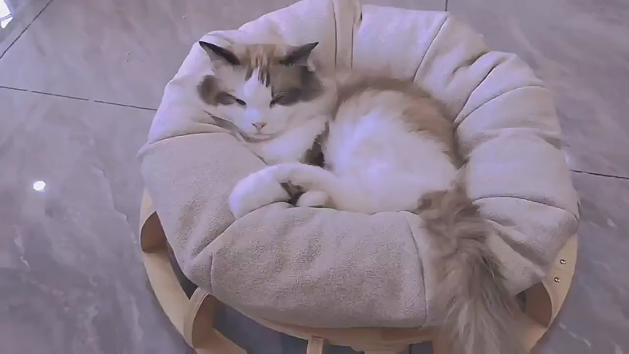 Timber Gyro Cat Nest Bed