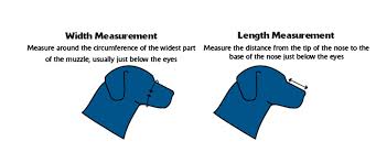 Dog Muzzle - Soft Anti Biting/Scavenging Size 2