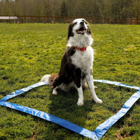 Thumbnail for Floofi Dog Agility Training Equipment Set