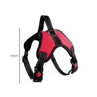 Thumbnail for FLOOFI XXL Size Dog Harness XL Size (Red)