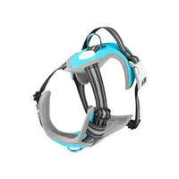 Thumbnail for FLOOFI Dog Harness Vest L Size (Blue)