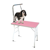 Thumbnail for Floofi Pet Grooming Table 90cm Single Pole (Pink)