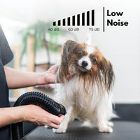 Thumbnail for Floofi Pet Hair Dryer Advance Pink