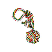 Thumbnail for Floofi Dog Agility Training Equipment Set