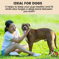 Thumbnail for Floofi Dog Agility Training Equipment Set