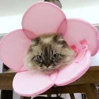 Thumbnail for Pet Recovery Elizabethan Collar - Pink-4