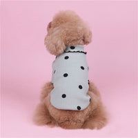 Thumbnail for Polka Dot Cotton Sweater-1