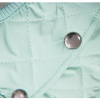 Thumbnail for Padded Luxe Dog Vest - Green-5