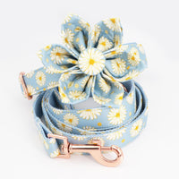 Thumbnail for Daisy Flower Collar & Lead Set-0