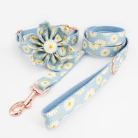 Thumbnail for Daisy Flower Collar & Lead Set-2