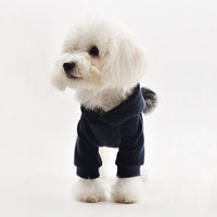 Thumbnail for Thick Cotton Pom Pom Pet Hoodie-6