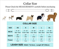 Thumbnail for Florist Flower Collar & Lead Set-3