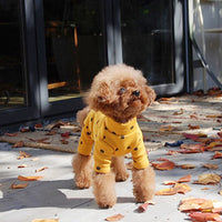 Thumbnail for Polka Dot Cotton Jumper-4