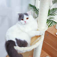 Thumbnail for Wooden Large Hammock Cat Tree in Beige-2