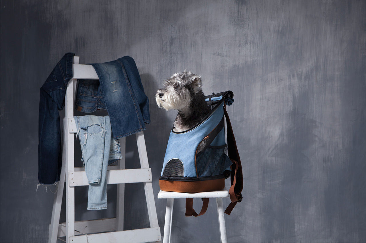 Denim Fun Lightweight Pet Backpack-3