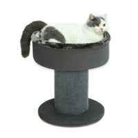 Thumbnail for The Perch Cat Bed in Dark Grey-0