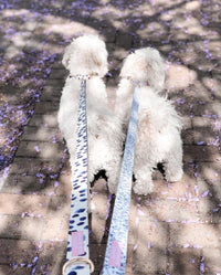 Thumbnail for Polka Dot Bow Collar & Lead Set-1