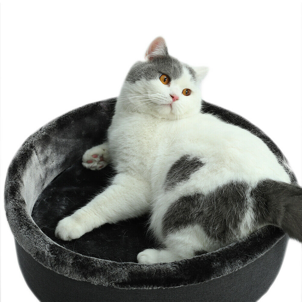 The Perch Cat Bed in Dark Grey-3