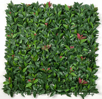 Thumbnail for Photinia (Red Robin) Leaf Screens / Panels UV Stabilised 1m X 1m