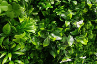 Thumbnail for White Oasis Vertical Garden / Green Wall UV Resistant 1m x 1m